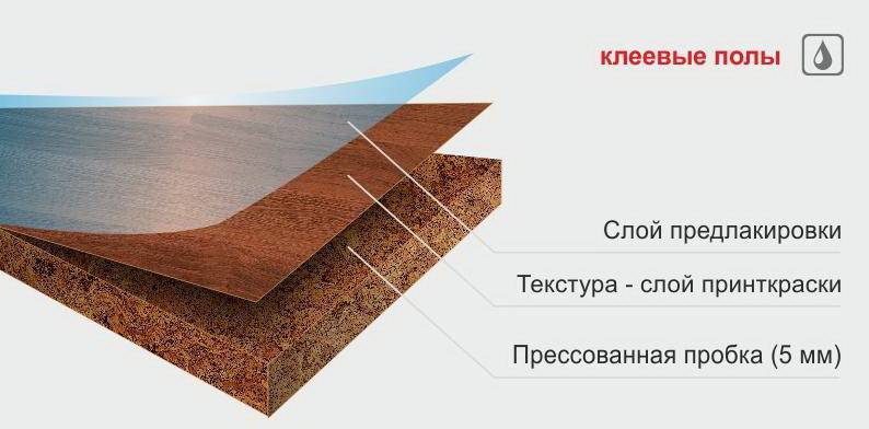 Пробковый паркет: плюсы и минусы, характеристики и описание