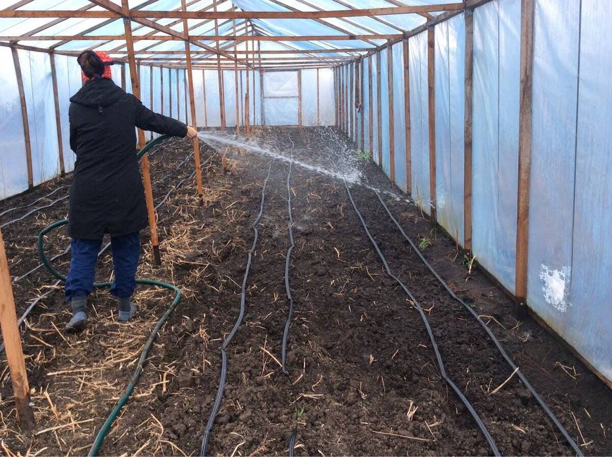 Подготовка теплицы из поликарбоната весной к посадке томатов