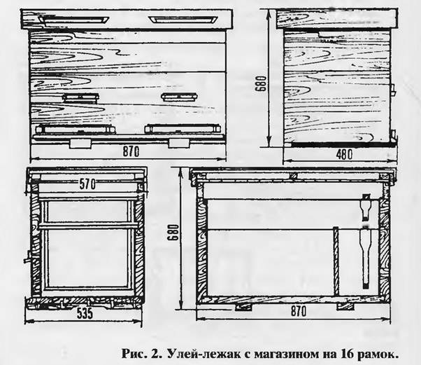 Устройства ульев для пчел, их особенности, конструкции и как выбрать