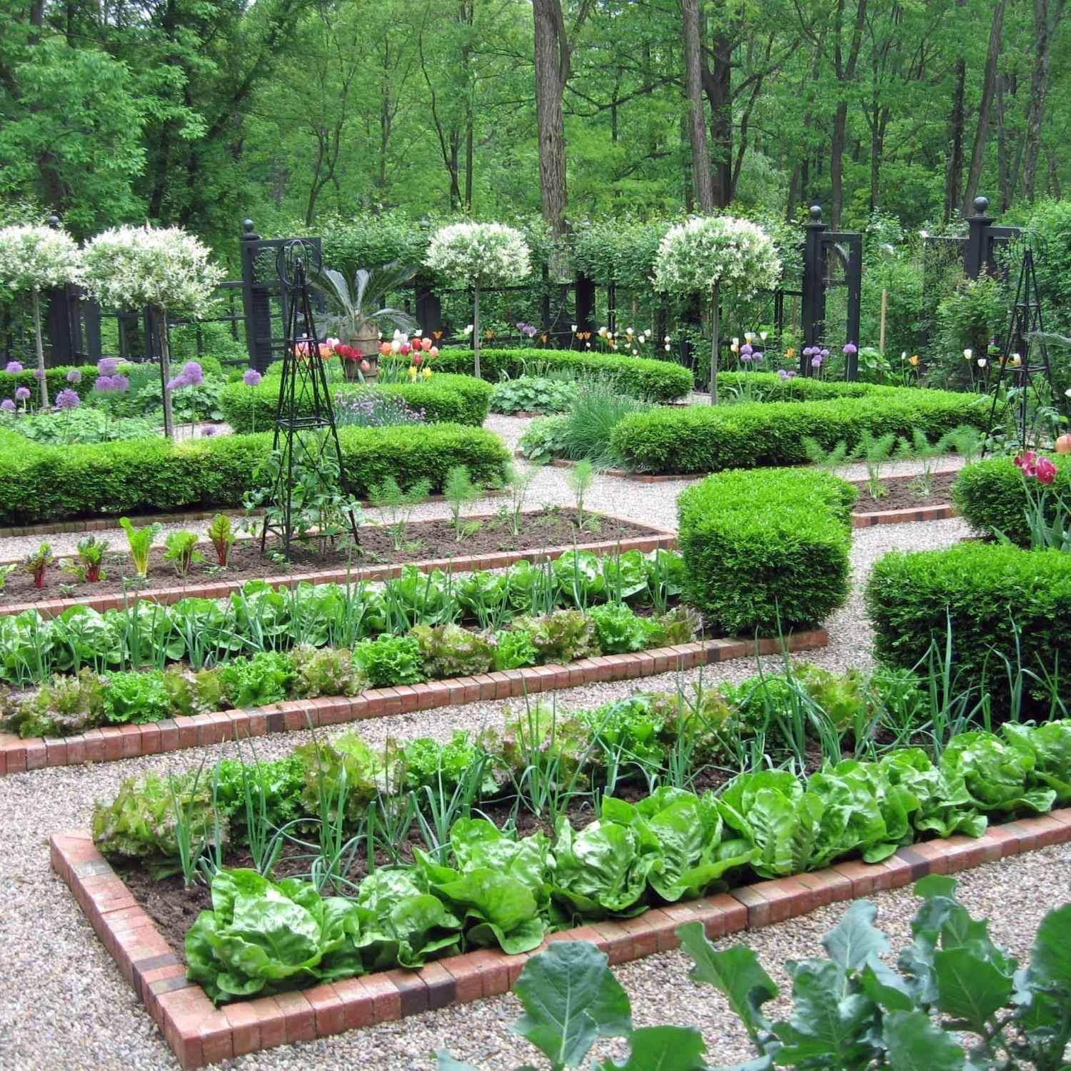 Красивый дизайн сада огорода фото