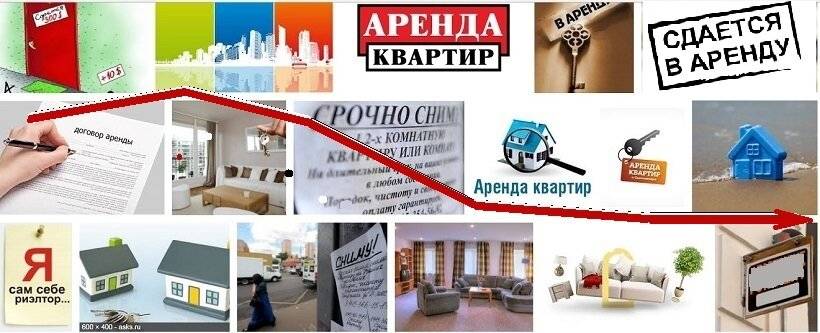 Аренда и пандемия: рекомендации для собственников и квартиросъемщиков - вместе.ру