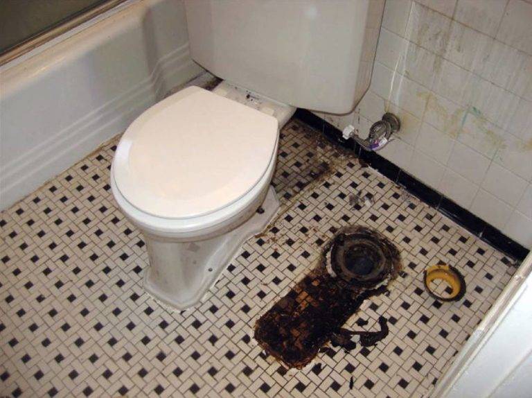 Запах из канализации в квартире как устранить: почему в ванной пахнет канализацией, что делать и как избавиться