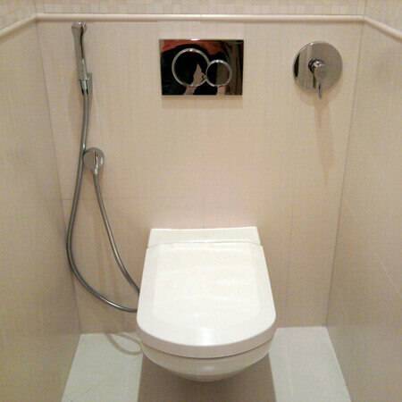 Гигиенический душ для унитаза. как установить унитаз со встроенным гигиеническим душем?