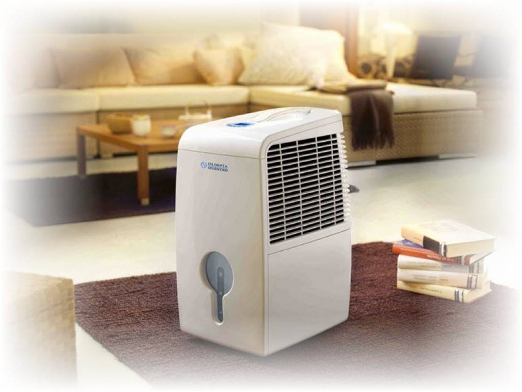 Осушители воздуха для квартиры: способ создать идеальный микроклимат – советы по ремонту