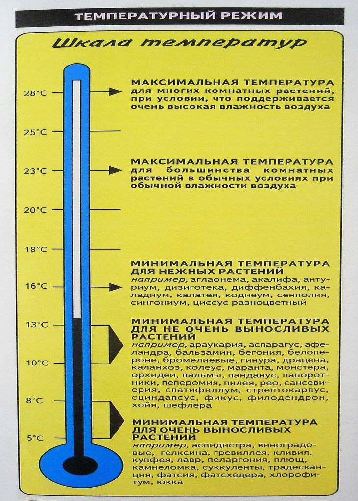 Температура в теплице ⭐ регулятор и датчик своими руками
