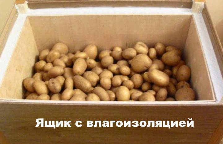 Как сделать ящик для хранения картошки своими руками