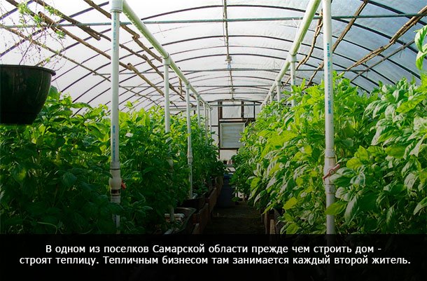 Теплица круглый год своими руками с обогревом > как сделать: видео + фото