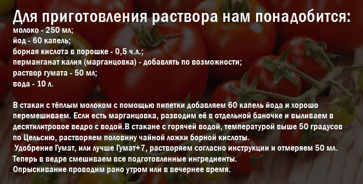 Подкормка томатов борной кислотой (нормы, рецепты, правила): бор для помидоров – враг или друг?