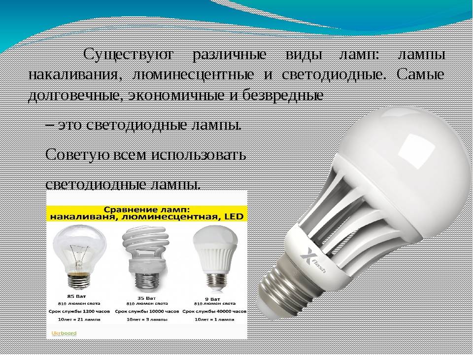 Энергосберегающие лампы: виды и цена, применение, сравнение с аналогами