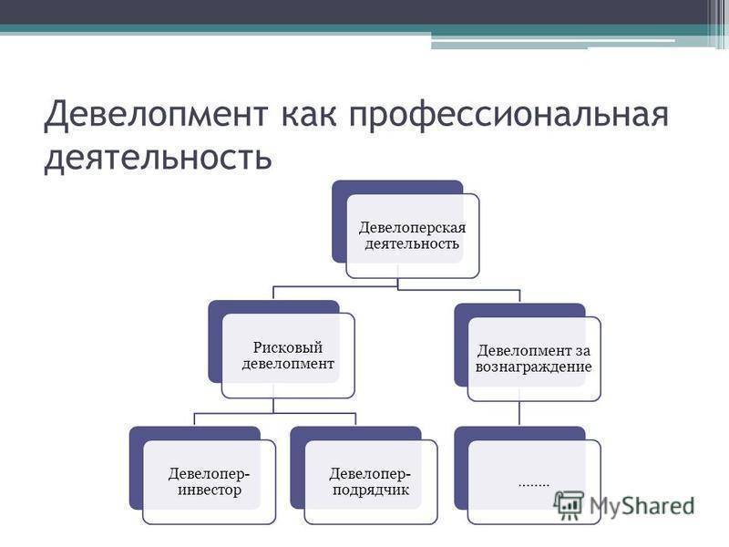 Девелоперский проект пример