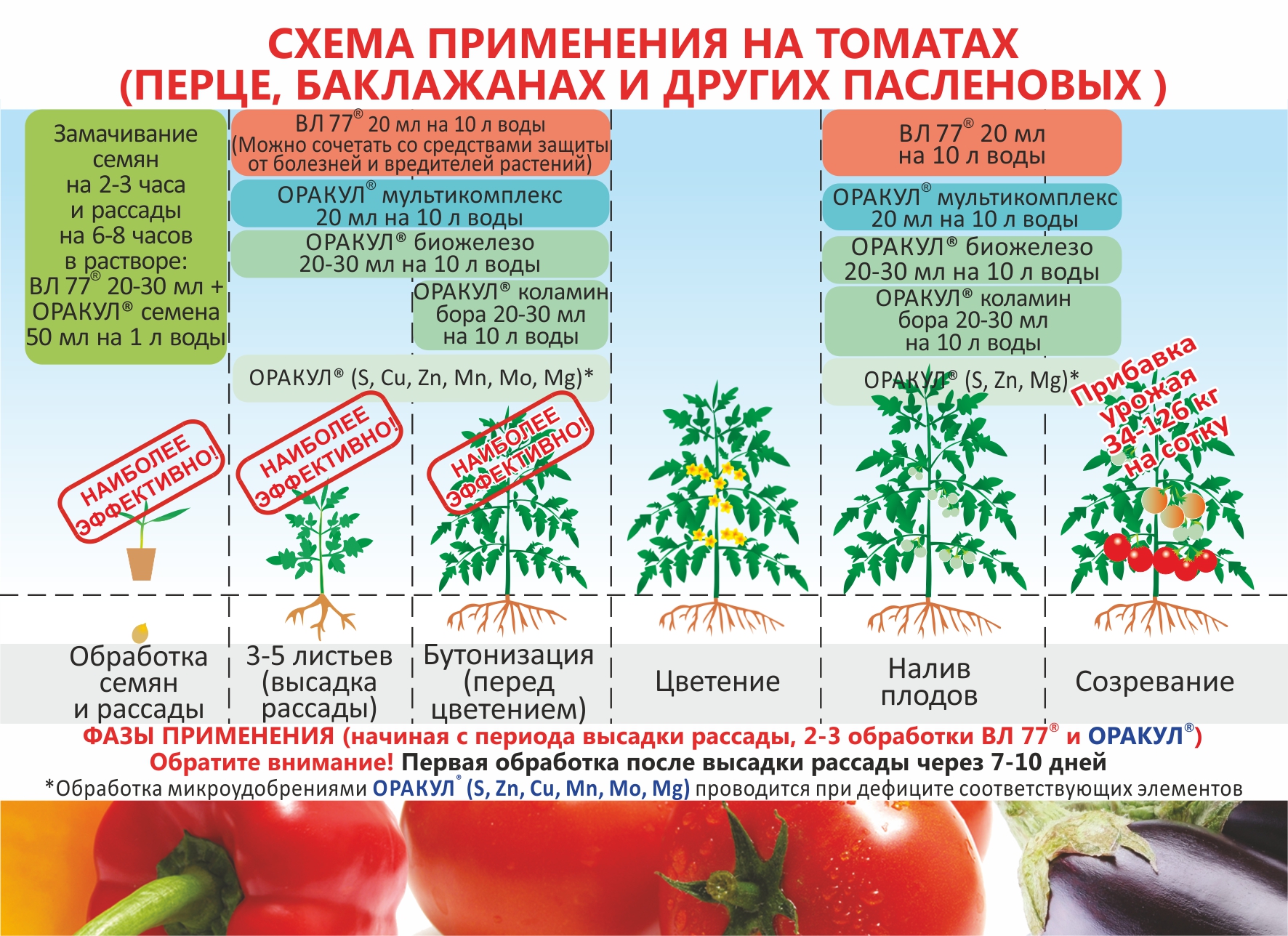 Подкормка томатов: как, когда и чем подкормить томаты