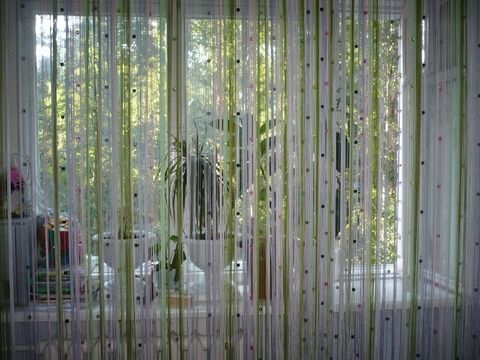 Нитяные шторы (кисея) на кухне: 20 фото удачных интерьеров