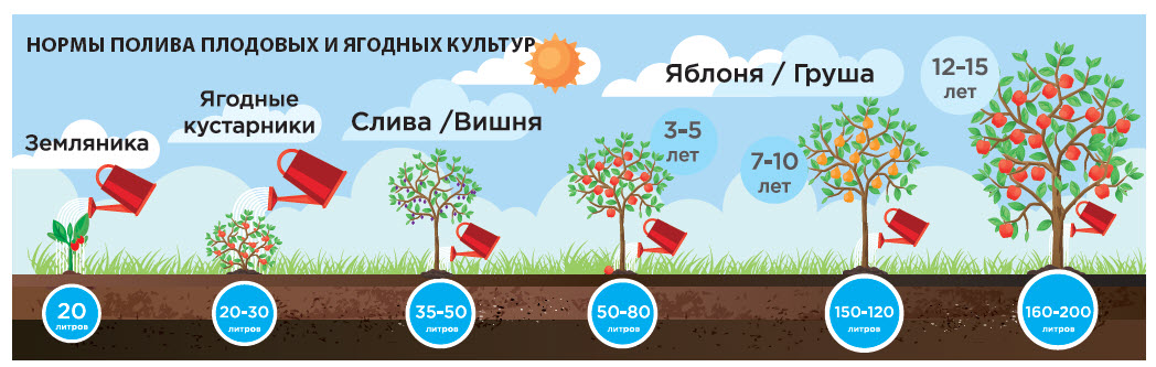 Правила и особенности подзимнего посева