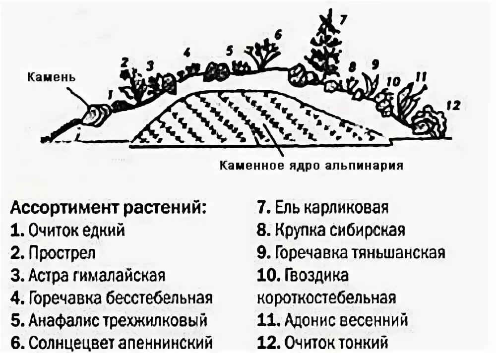 Альпийская горка чертеж