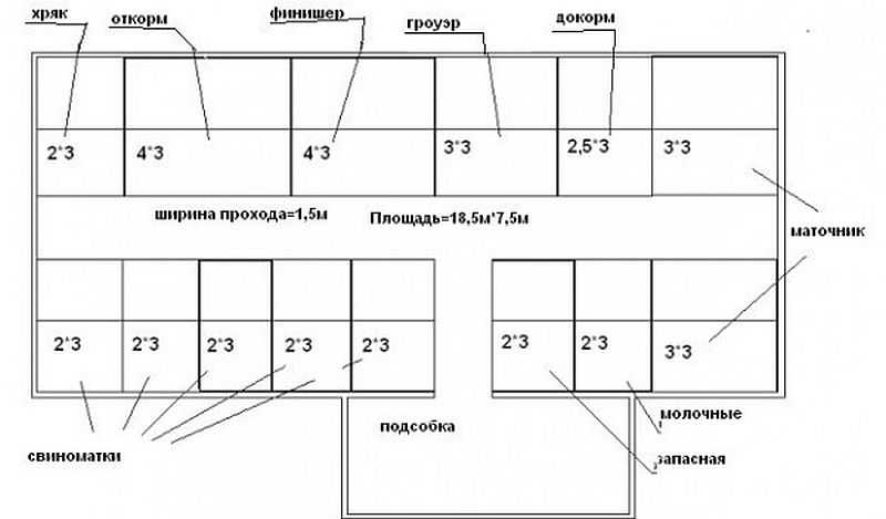 Как построить свинарник на 10-20 голов проект с размерами