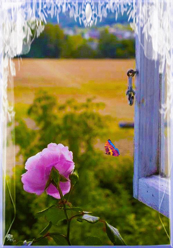 Если ночью дождь напролет утром ярче заря. Цветы на окне. Окно с цветами. Природа за окном. Весеннее окно.