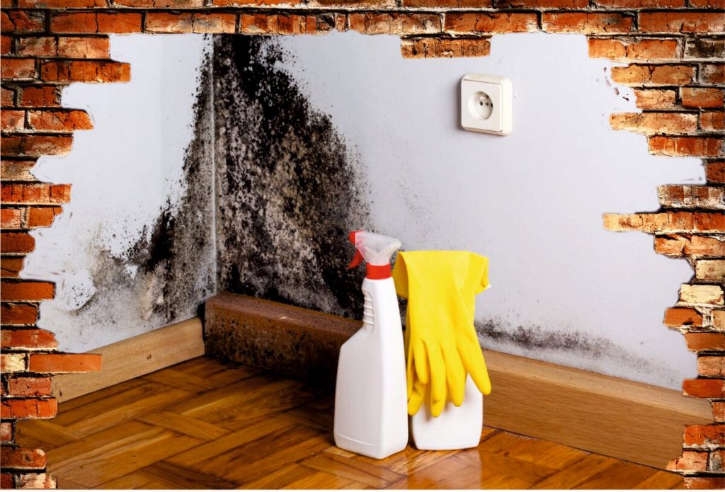 Как избавиться от запаха краски в квартире после и в процессе ремонта: важные советы