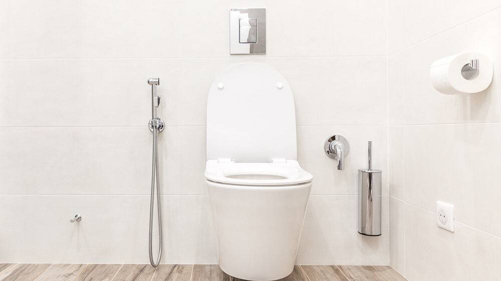 Cмеситель для биде настенный с гигиеническим душем или унитаз с функцией душевой лейки в туалете, что лучше вместо этого