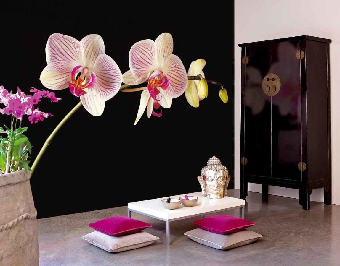 Обои для стен с орхидеями, используем в интерьере цветочную тематику. фотообои с изображением орхидей в интерьере: нежные цветы на ваших стенах обои орхидеи в интерьере