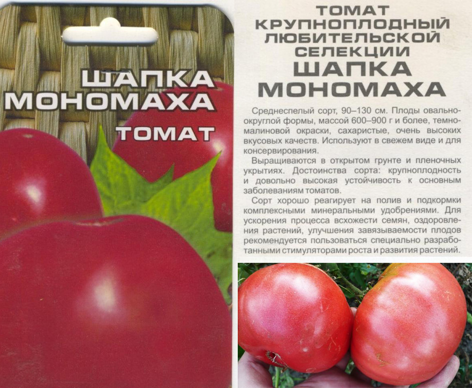 Сладкие сорта томатов для теплиц и открытого грунта