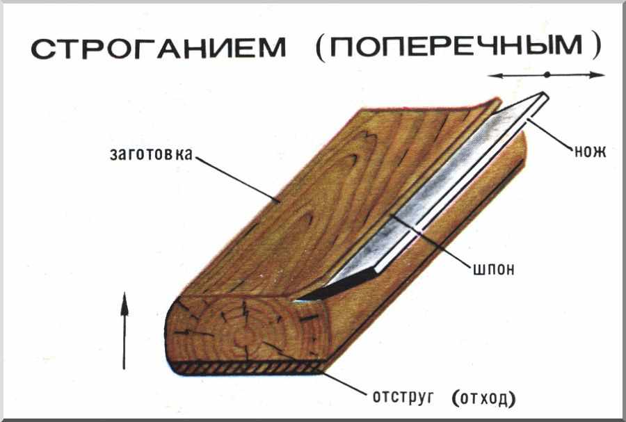 Получение древесины. Схема получения строганного шпона. Схема получения лущеного шпона. Строганный и лущеный шпон. Схема лущения шпона.