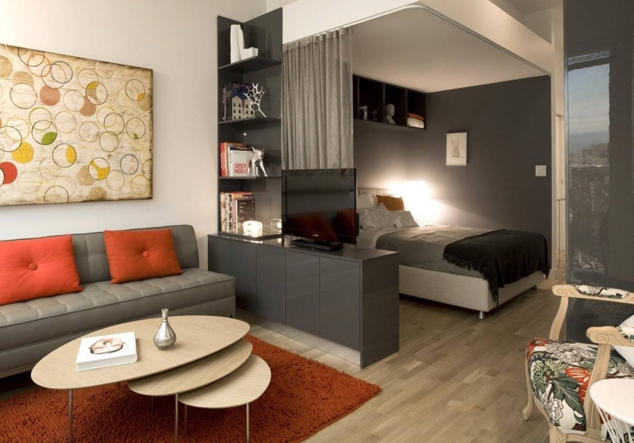 22 идеи дизайна зала для однокомнатной квартиры