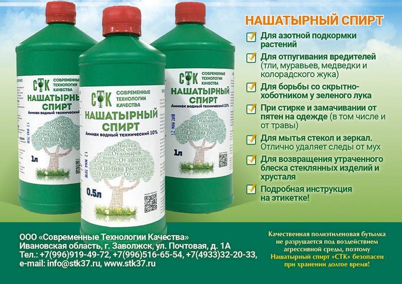 Тля в теплице: как выглядит, признаки наличия, наносимый вред, способы борьбы, народные рецепты, препараты, как опрыскивать, меры профилактики