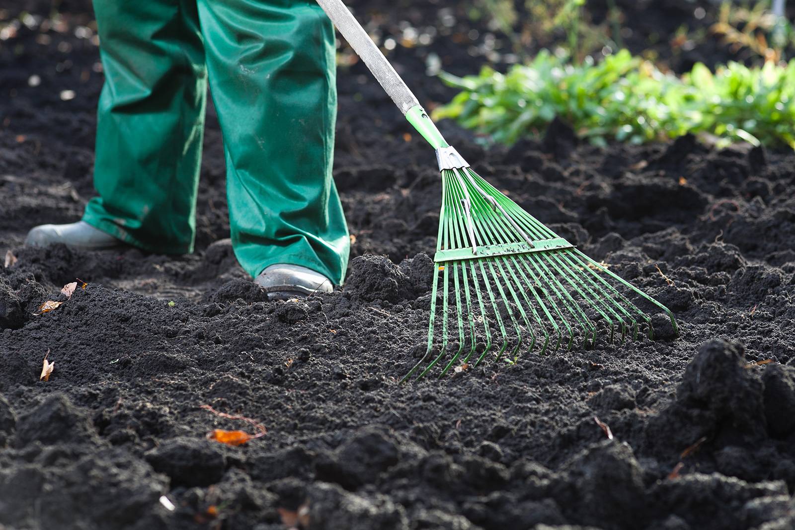 Грунт для газона: правильный выбор почвы и ее корректная подготовка | baltija.eu