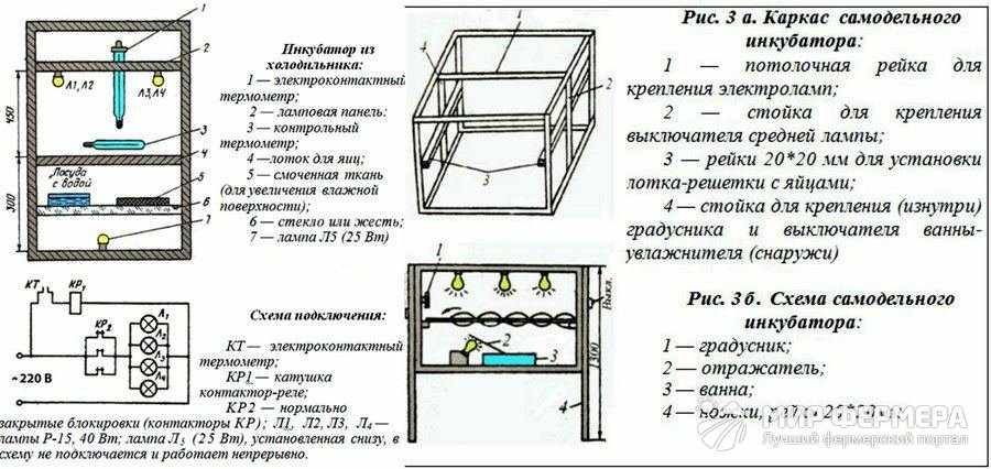 Инкубатор своими руками - оренбургские инкубаторы