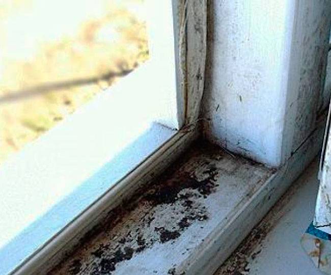 Плесень на пластиковых окнах