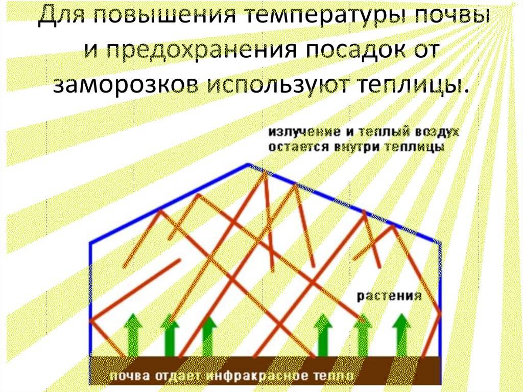 6 способов регулировки влажности и температуры в теплице