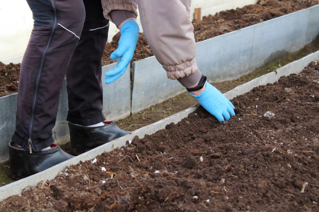Советы, как обеззаразить почву в теплице, выбор средств для мытья парника, а также обзор удобрений для правильной подготовки почвы в теплице осенью