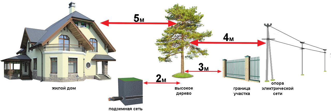 Расстояние от дома до столба провод. Гориа посадки деревьев от забора. Нормы высадки деревьев от забора. Нормы посадки высокорослых деревьев. Нормативы по посадке деревьев на садовом участке.