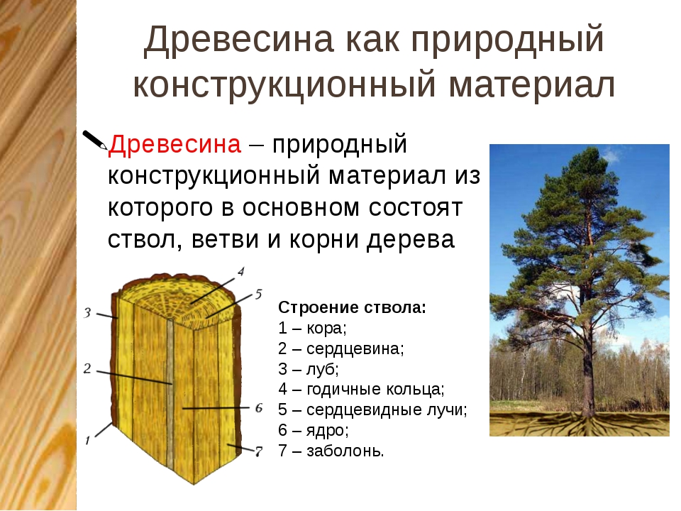 Признаки качественного пиломатериала | столярный совет
