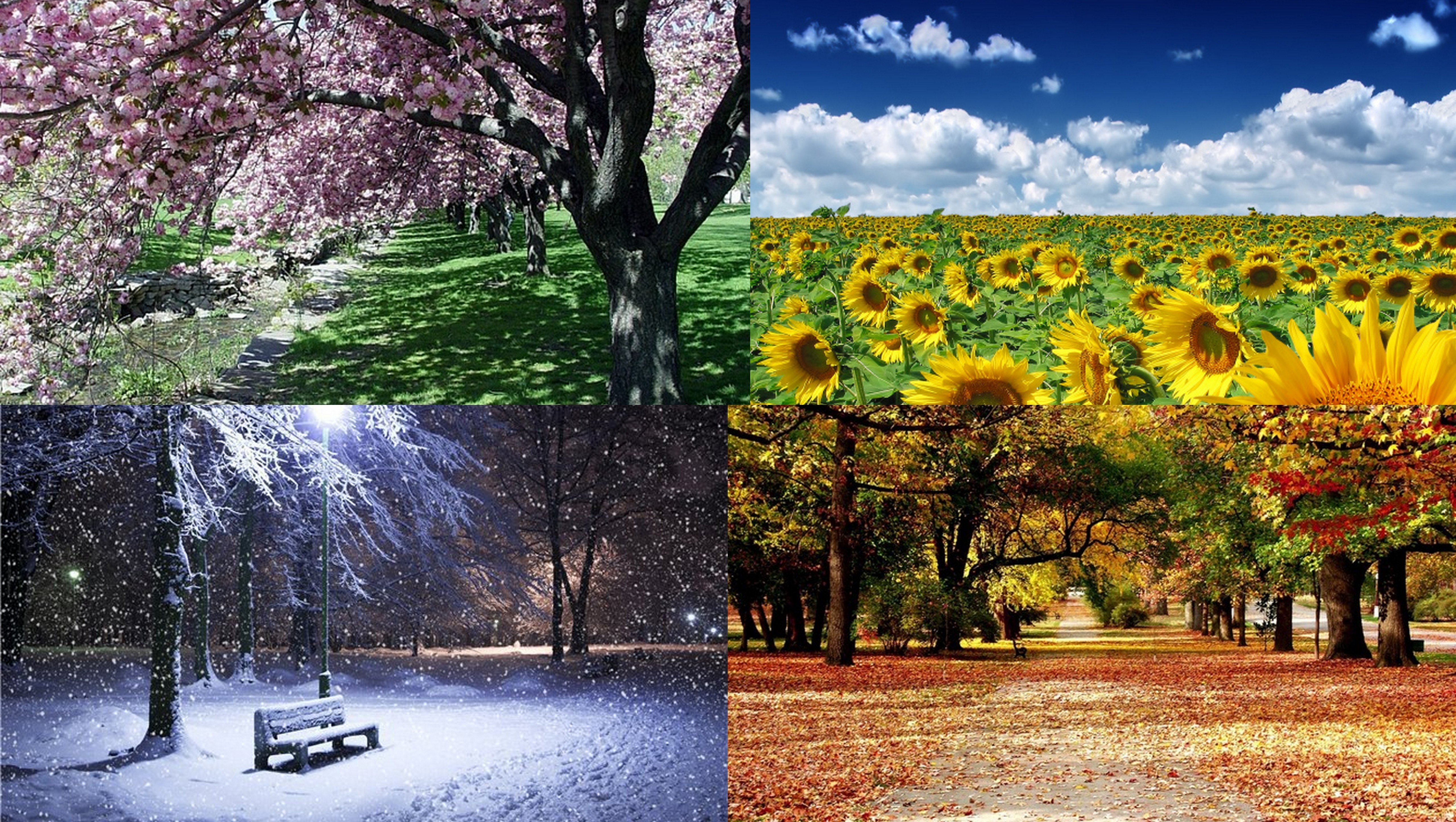 Какое время года выбрать для ремонта квартиры: зимний или весенне-летний сезон?