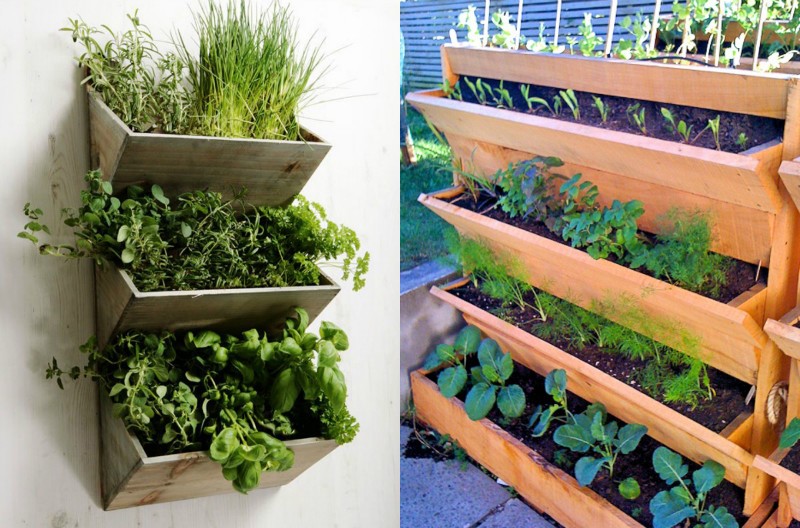 Огород на подоконнике зимой для начинающих: как организовать, что можно выращивать, особенности и правила ухода за домашним огородом