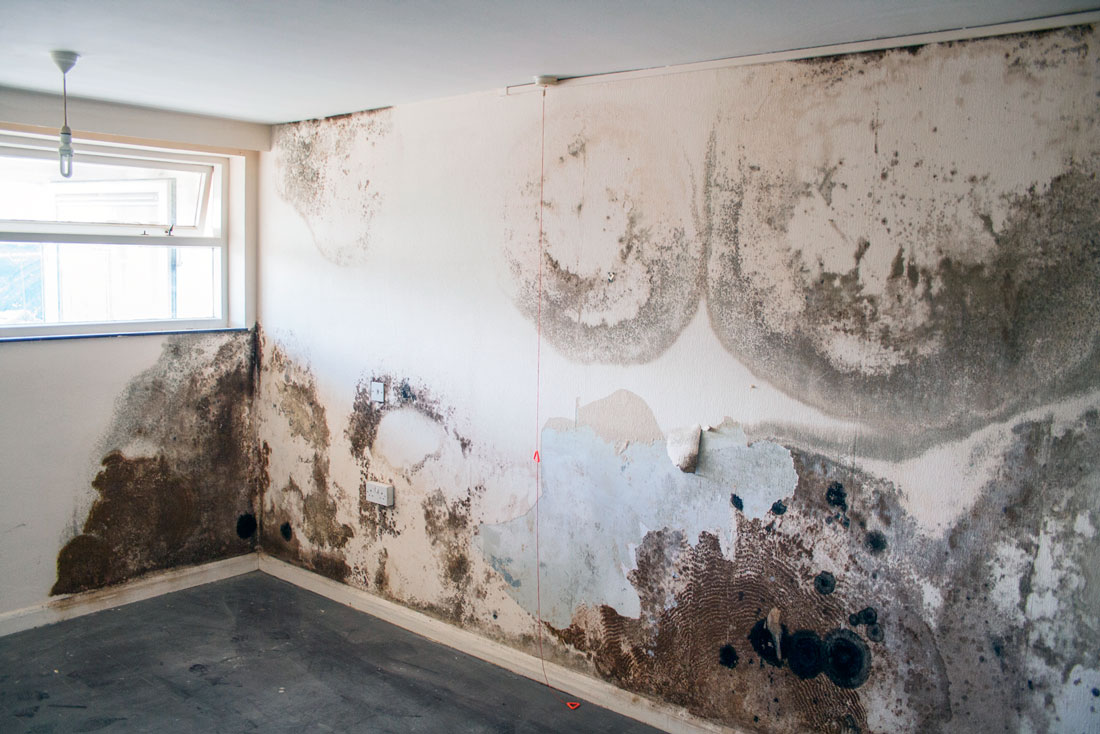 Как высушить стены после штукатурки зимой?
