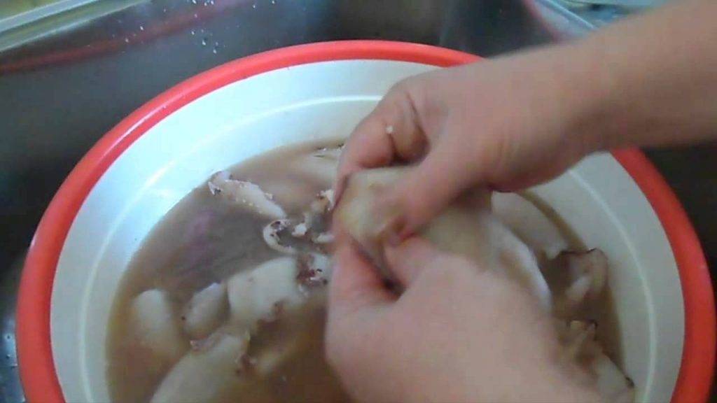 Как чистить кальмаров от плёнки: простые и быстрые способы очистки тушки морского хищника