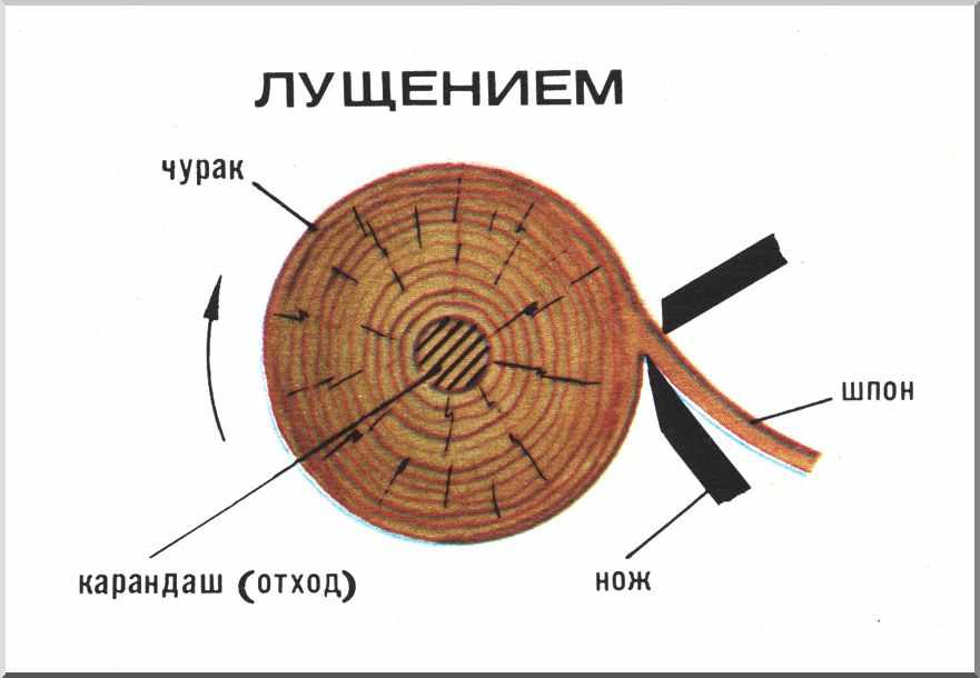 Тонкий слой древесины. Схема получения лущеного шпона. Схема лущения древесины. Схема лущения шпона. Лущение древесины.