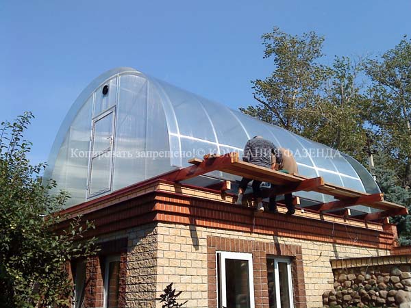 Теплица на крыше дома или гаража: фото, проекты