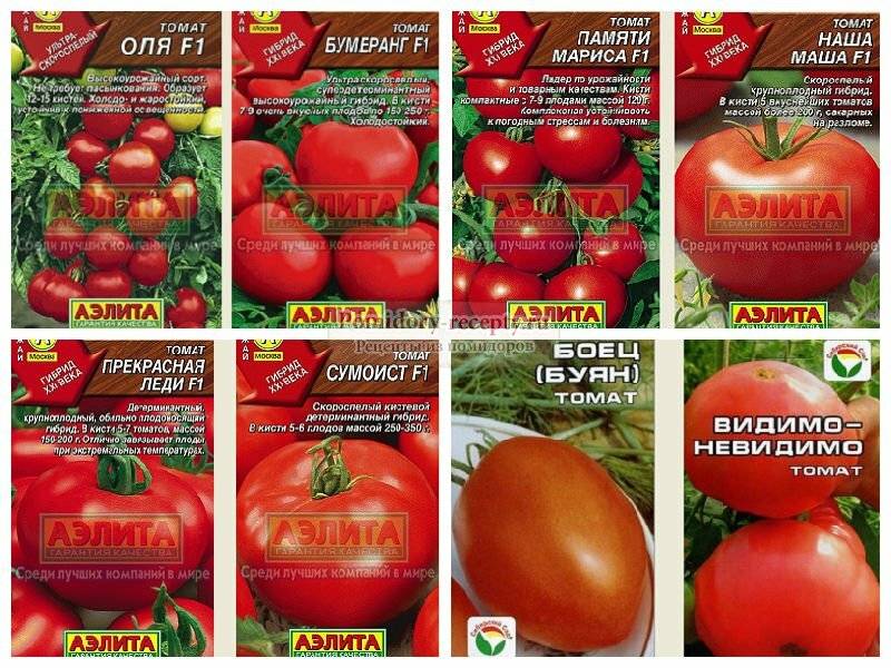 Лучшие сорта томатов для подмосковья - фото, названия и описания (каталог)
