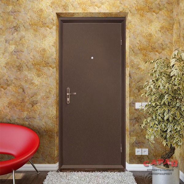 11 лучших металлических входных дверей - рейтинг 2021 | iconsumer