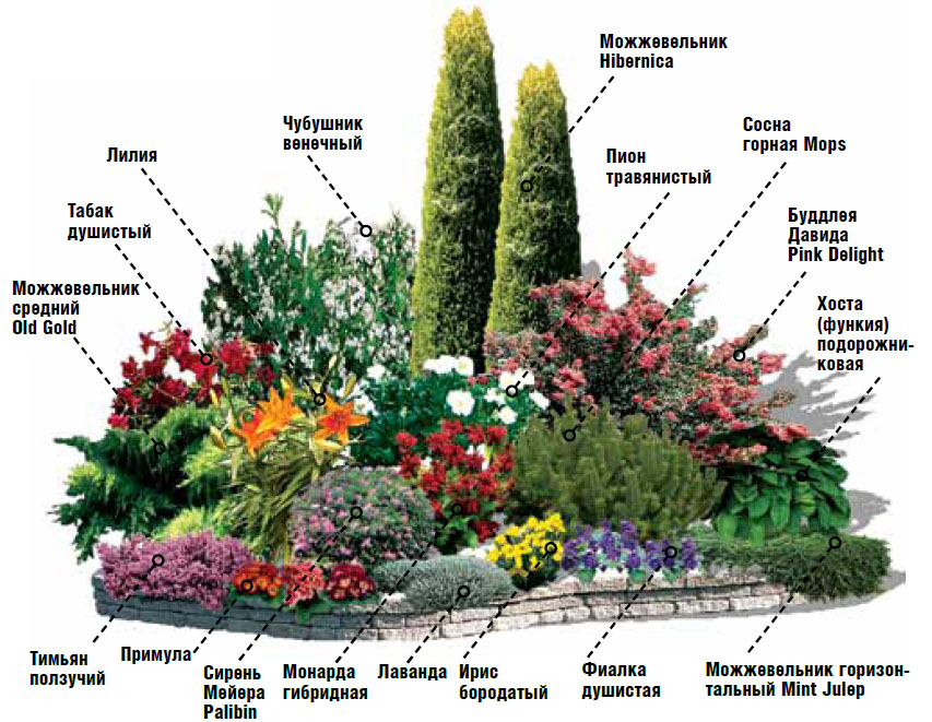 План альпийская горка