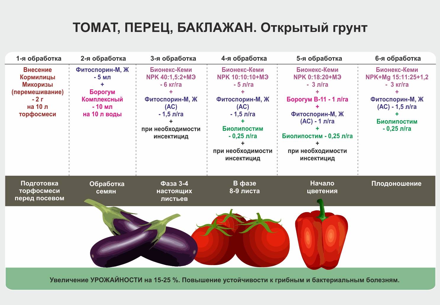 Помидоры в теплице: посадка и уход и советы как правильно высаживать и на каком расстоянии сажать помидоры в теплице