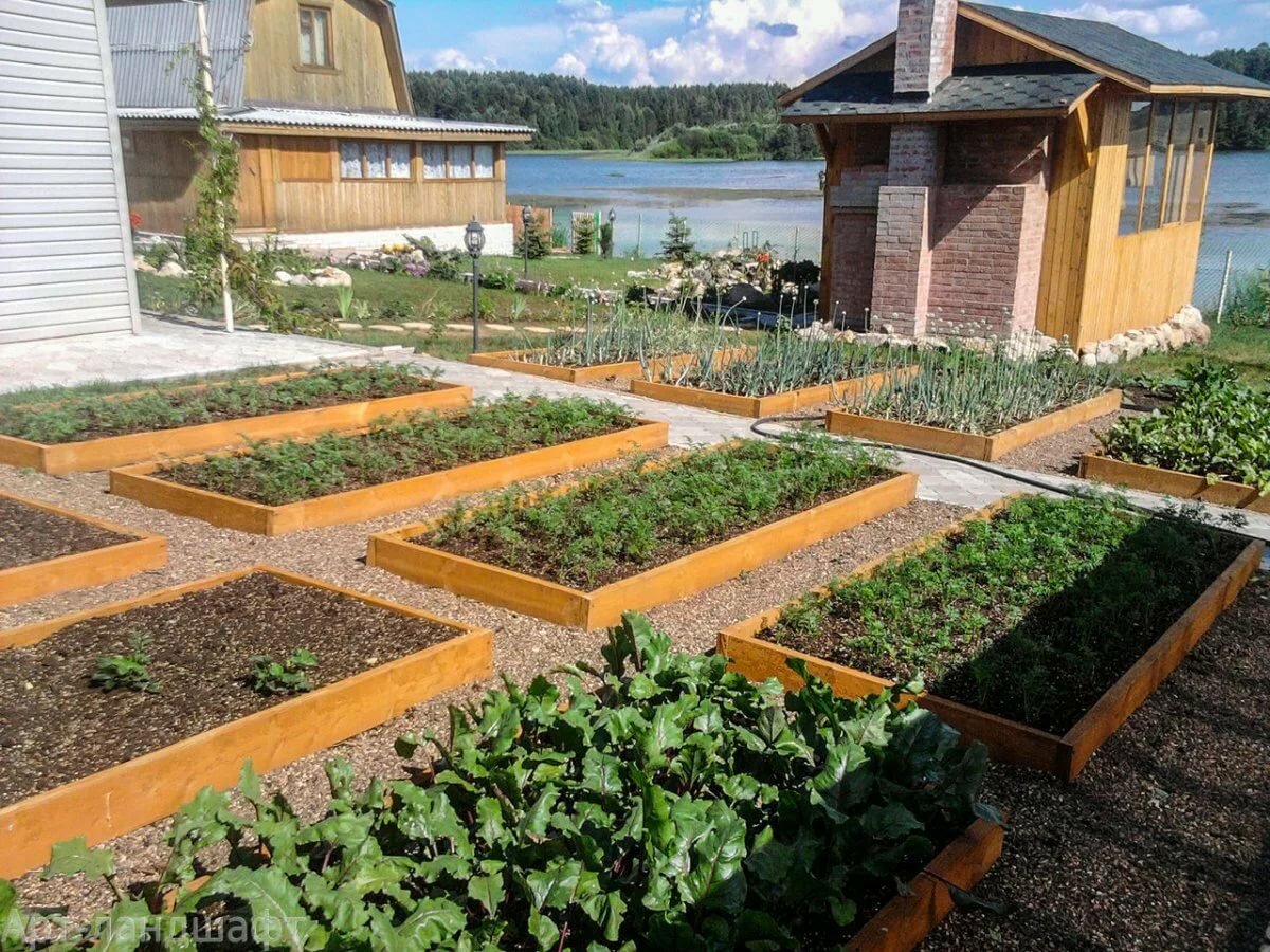 Как сделать красивый огород на даче своими руками:  фото, видео, советы по уходу за растениями