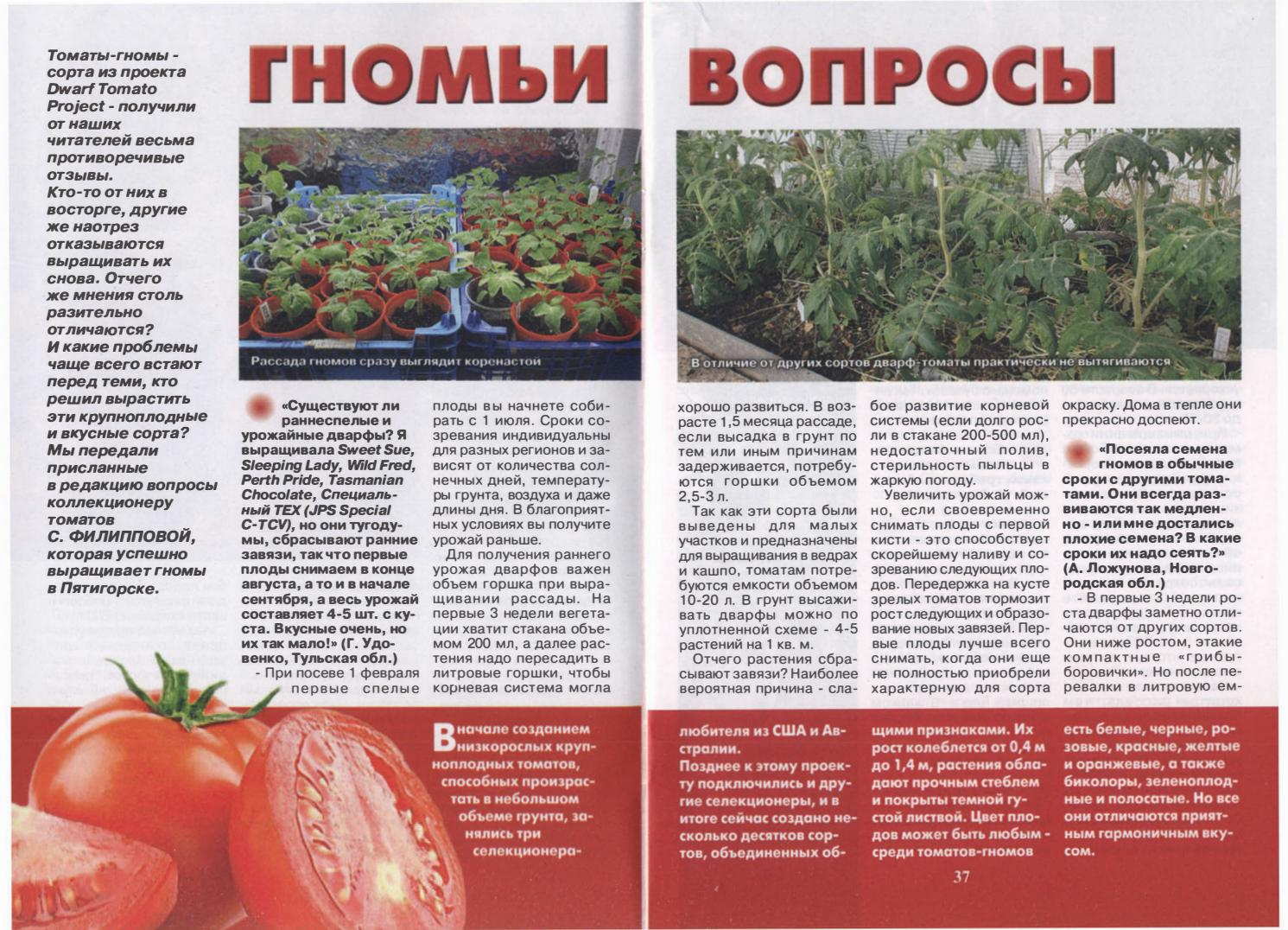 Помогите, пожалуйста выбрать сорта помидоров для ленинградская обл.