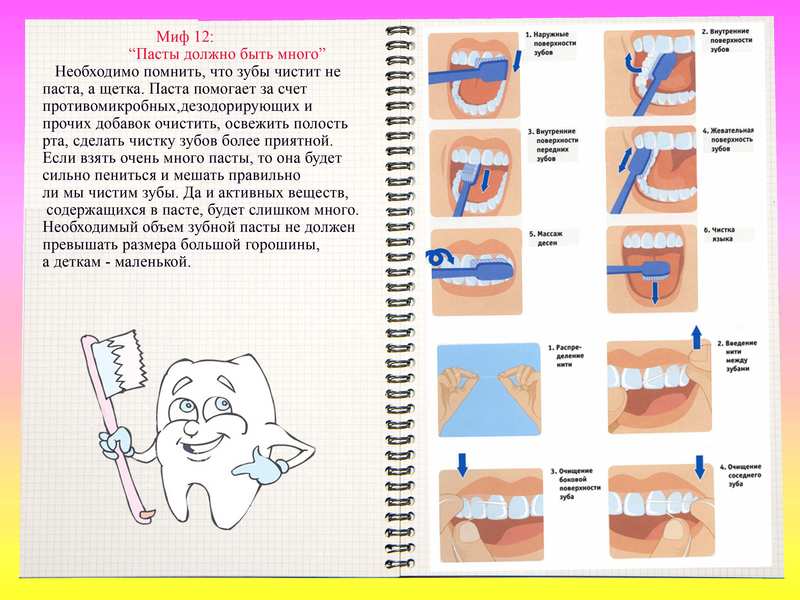 Когда лучше чистить зубы. Как правильно чистить зубы. Правила чистки зубов для детей. Как правильно Чисть зубы. Схема правильной чистки зубов.
