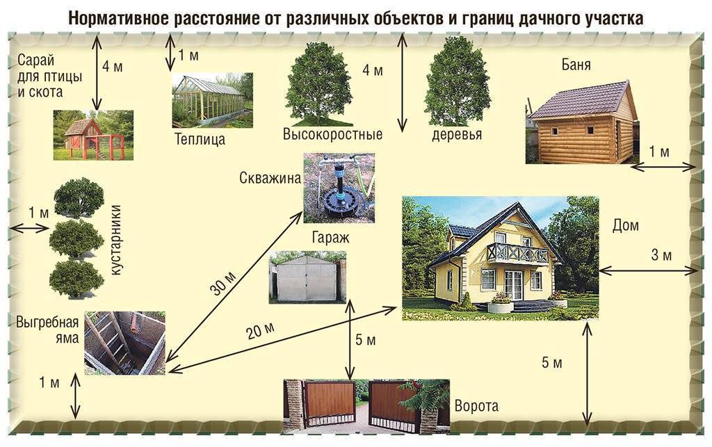 На каком расстоянии друг от друга можно посадить плодовые деревья в саду: нормы