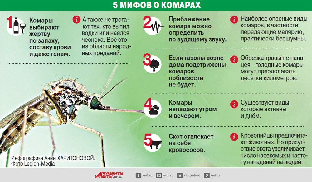 Виды и принцип действия фумигаторов: электрические и пиротехнические