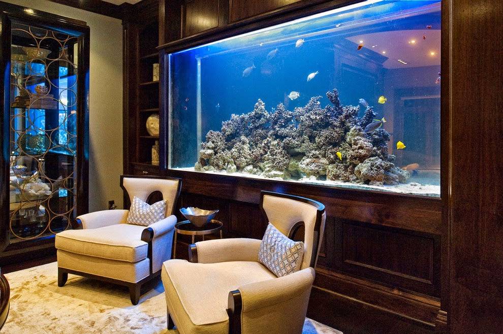 Аквариум в квартире: 10 способов вписать аквариум в интерьер ⋆ новые идеи 2022, фото